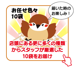 お任せいろいろ10袋